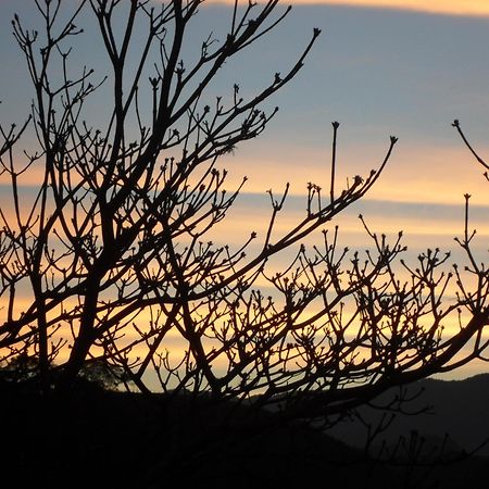 Vale Do Piemonte "Chales " Santo Antônio do Pinhal Εξωτερικό φωτογραφία